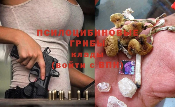 сатива Абаза
