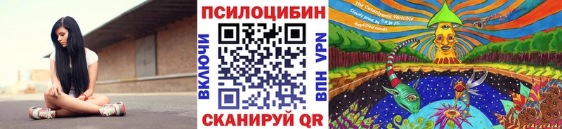 Галлюциногенные грибы Magic Shrooms  Княгинино 