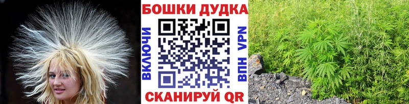 дарнет шоп  Княгинино  Бошки Шишки тримм 